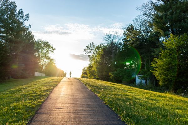 Cost of Asphalt Pathway Installation in Conroe